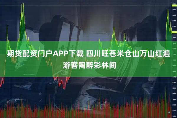 期货配资门户APP下载 四川旺苍米仓山万山红遍 游客陶醉彩林间