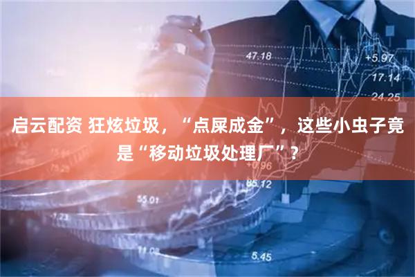 启云配资 狂炫垃圾，“点屎成金”，这些小虫子竟是“移动垃圾处理厂”？