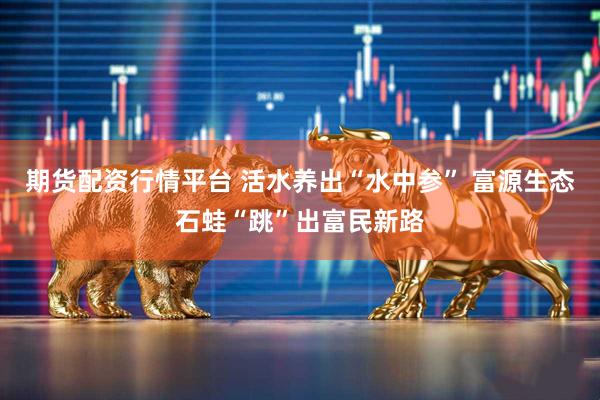 期货配资行情平台 活水养出“水中参” 富源生态石蛙“跳”出富民新路