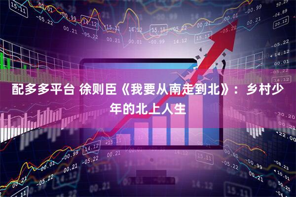 配多多平台 徐则臣《我要从南走到北》：乡村少年的北上人生